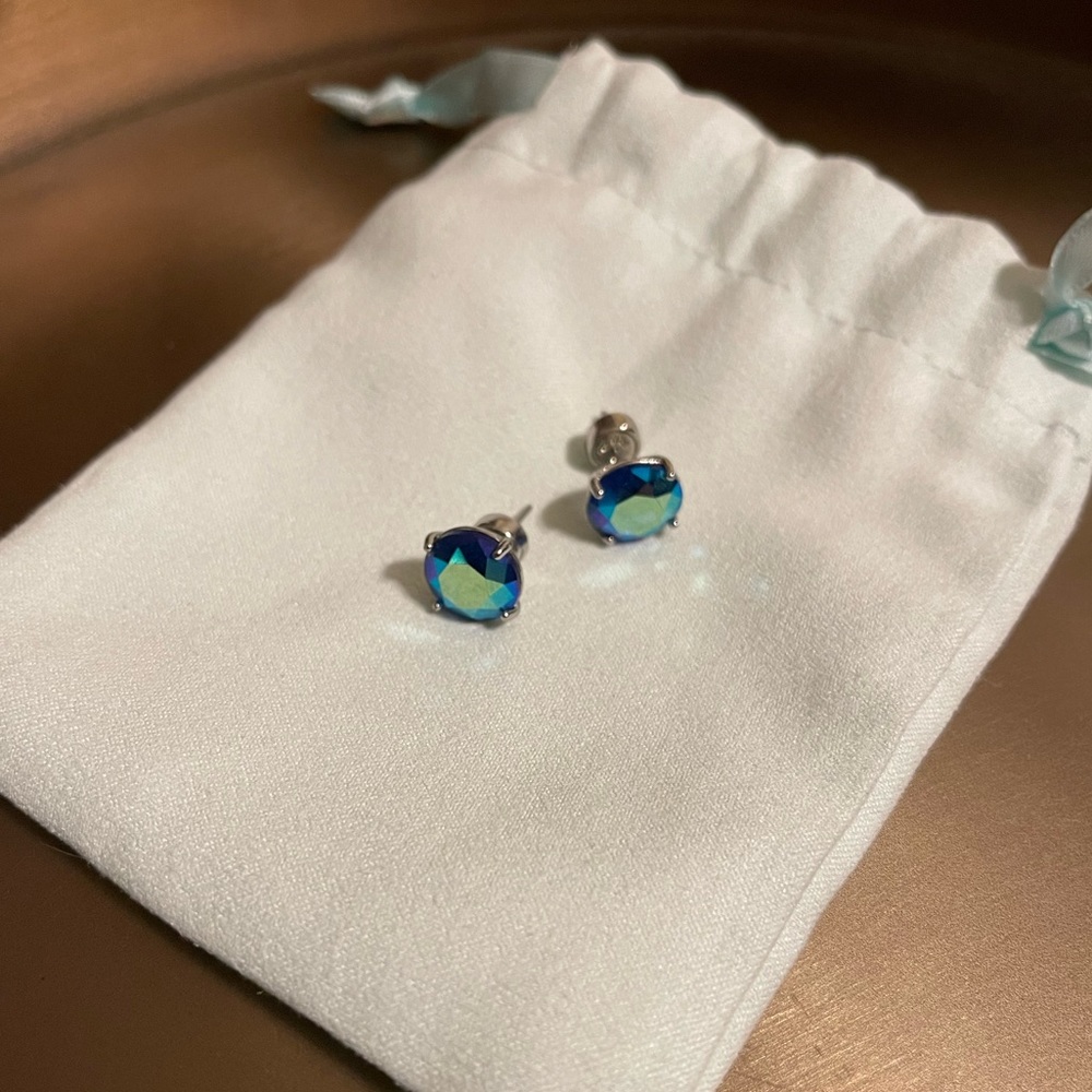 Fossil stud earrings; Color: Blue; Condition: Worn 2x